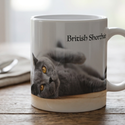 British Shorthair Cat 11oz Mug