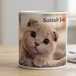 Scottish Fold mug 11oz